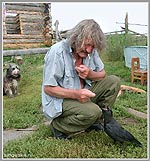 Ручная ворона