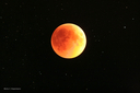 15-16-6-2011-Stas.jpg
